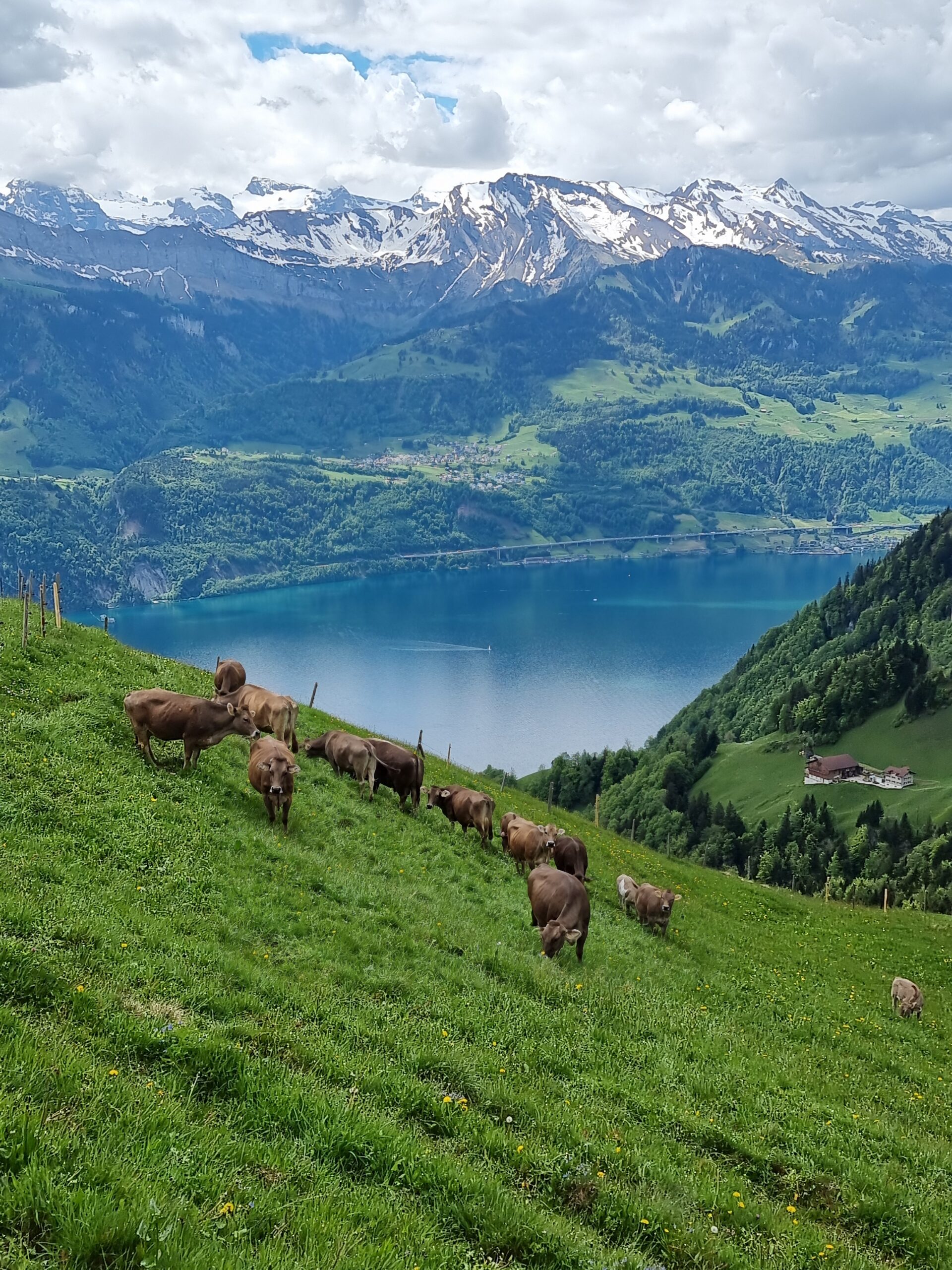 Quand partir en Suisse ?